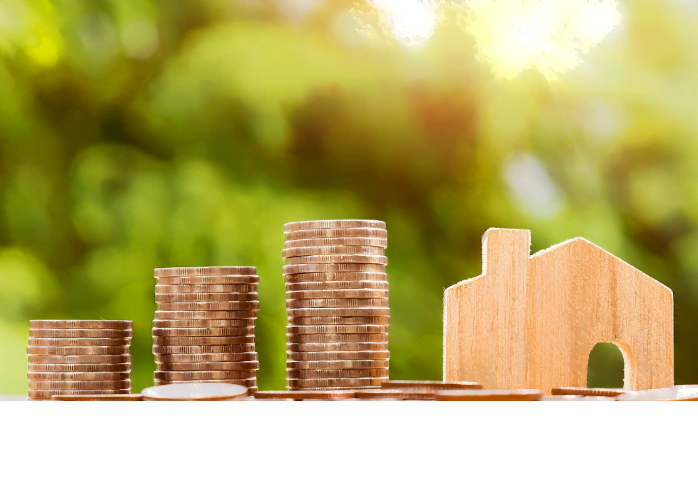 House money pic