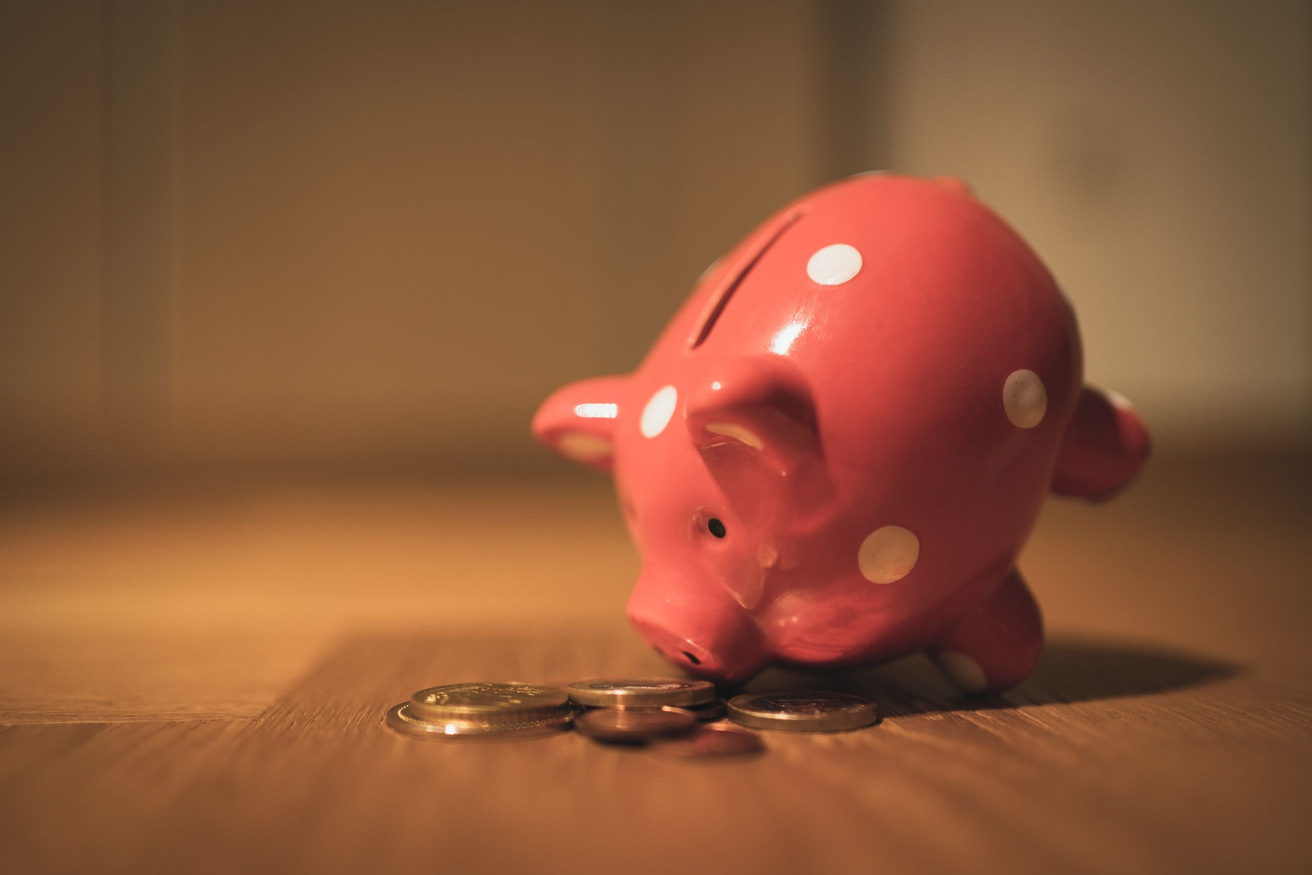 Pig Piggy Banks