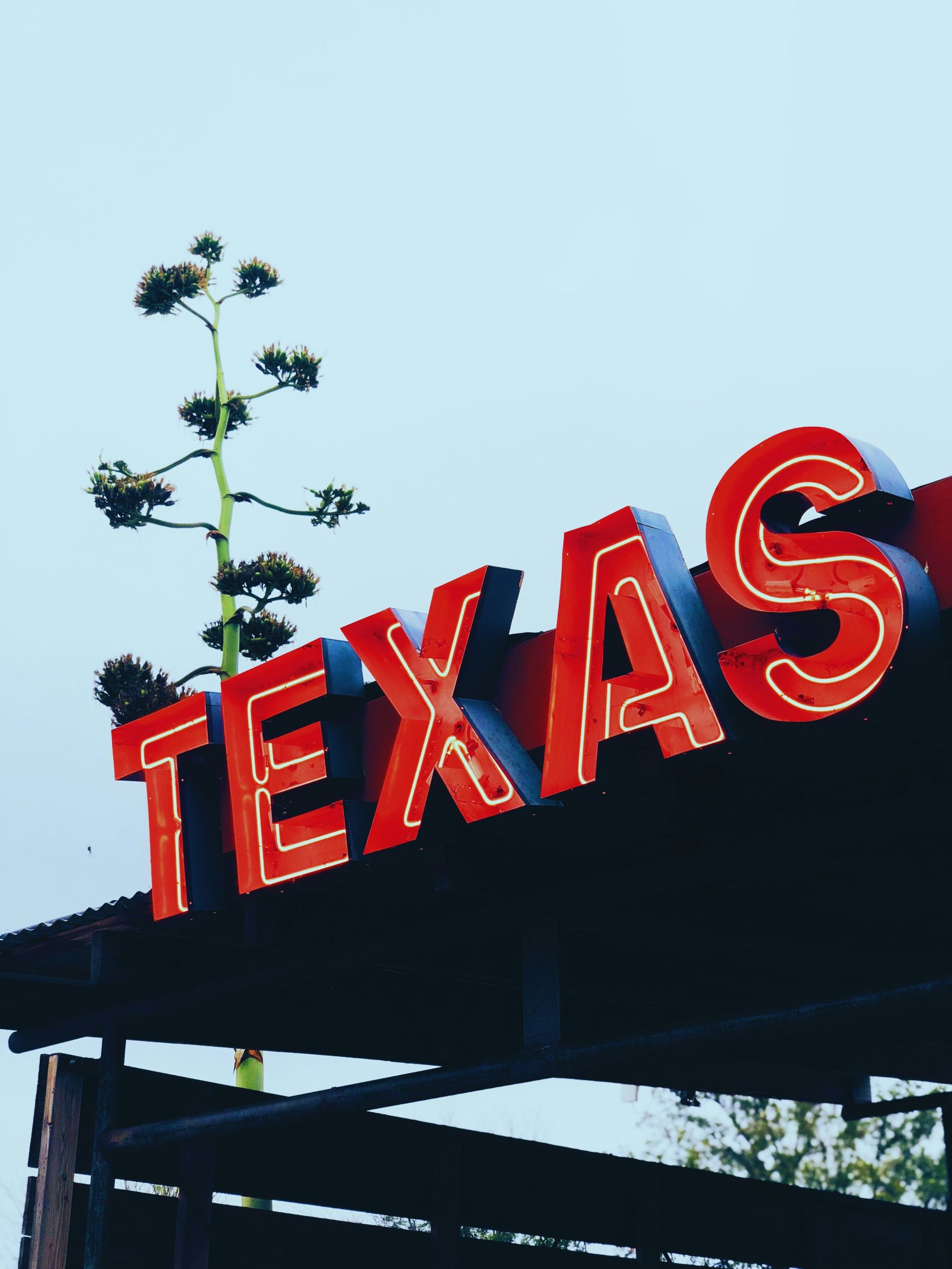 Texas Pic